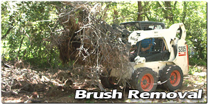 Brush Removal