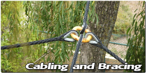 Cabling and Bracing