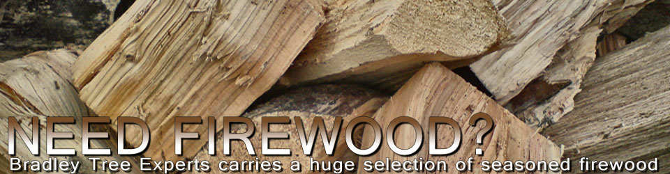 We sell all types of Firewood!