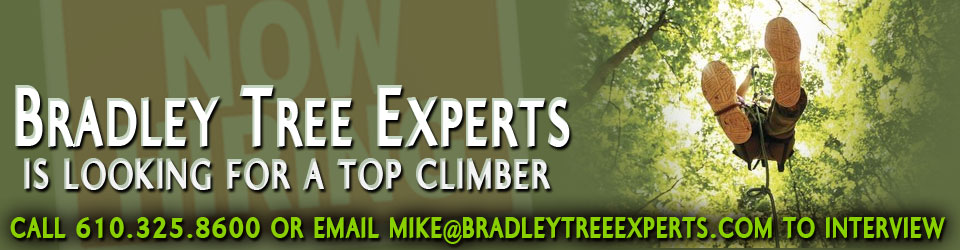 Now Hiring a Top Climber