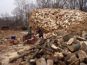 Bradley Tree Experts - Firewood Photos