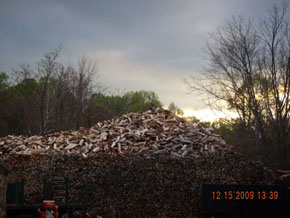 Bradley Tree Experts - Firewood Photos