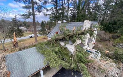 Media PA Emergency Storm Damage Tree Removal