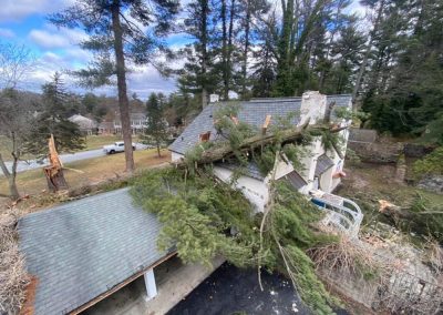 media pa emergency storm damage tree removal