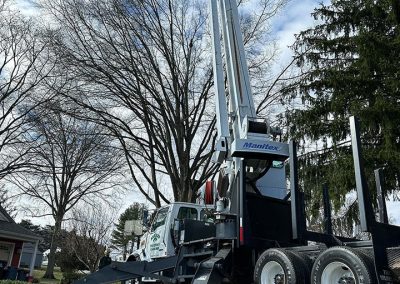 newtown square pa tree removal