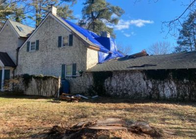 storm tree removal in media pa