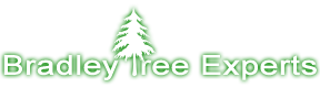 tree service delaware county pa